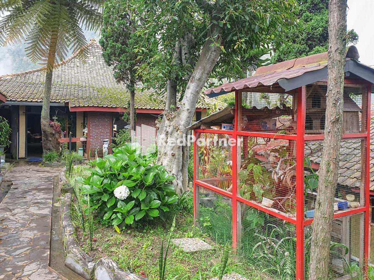 Hotel Yoschi'S Bromo At Desa Wisata Bromo Ngadisari Exterior foto